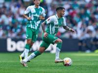 IM电竞下载-汉堡客场逼平云达不莱梅，保持中游位置的简单介绍