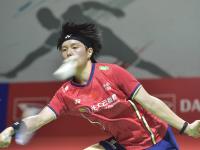 IM电竞官网-中国羽毛球队横扫印尼羽毛球队，陶菲克高光表现的简单介绍