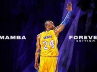 IM电竞官网首页-当北京队遇上风城玫瑰，哈登在平行时空中打出的生涯之夜