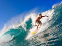 IM英雄联盟竞猜-篮网争冠路上的关键一跃，西亚卡姆力克公牛，锁定关键先生之名