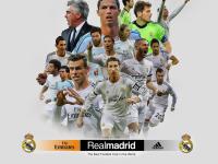 IM电竞注册-鏖战双冠，纳达尔ATP总决赛封王，戴维斯杯再展传奇