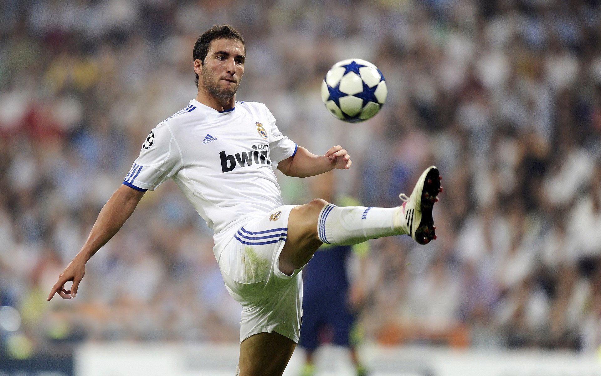 浙江雄狮怒吼太原城,福克斯单骑撕裂三晋防线